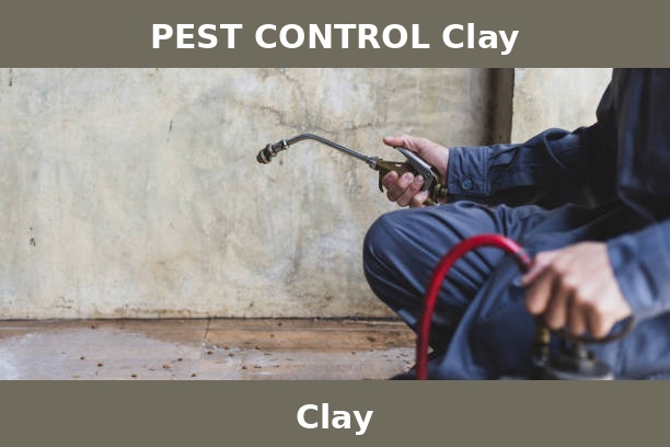 PEST CONTROL Clay